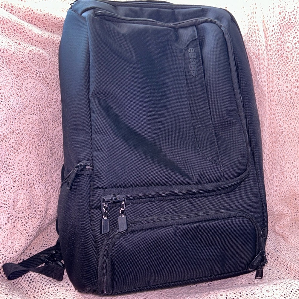 eBags profesional slim labtop backpack